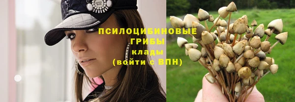 мет Алзамай