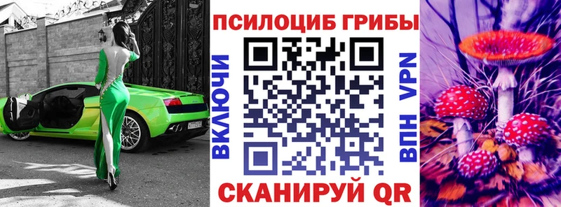 блэк спрут ссылка Калининск Галлюциногенные грибы Psilocybe